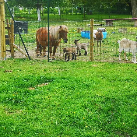 アパート L'immortel Vintage Avec Ou Sans